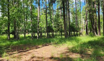 12430 Rippling Waters Rd, Bigfork, MT 59911