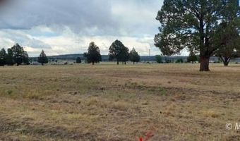Lot 47 Blk 14 LU1B Honey View Drive, Alturas, CA 96101
