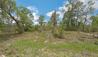 3055 Scoralick Rd, Avon Park, FL 33825