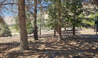 2026 Masonic Dr, Gardnerville, NV 89410