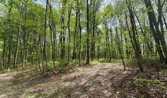1271 A Tunnel Ridge Rd, Argillite, KY 41121