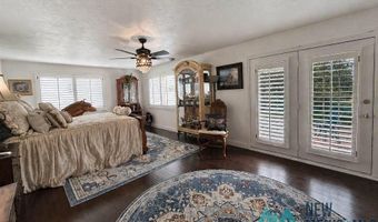 1005 N Shore Dr, Carlsbad, NM 88220