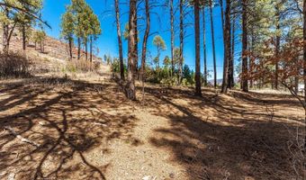 116 Pine Dr, Bayfield, CO 81122