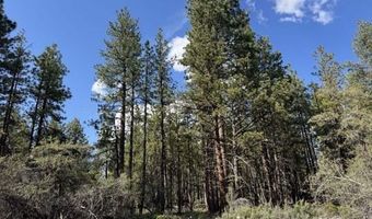 Thunder Bear Road, Bonanza, OR 97623