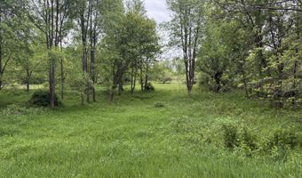 27350 H Dr N, Albion, MI 49224