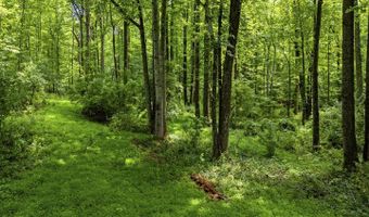 COUNTRY CREEK LN, Amissville, VA 20106