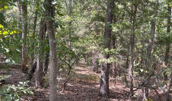 Tract 52 E 1885 Road, Antlers, OK 74523