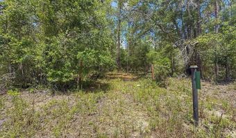 6339 NW 17th Ct, Bell, FL 32619