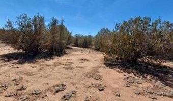 302-17 306 Haywire Rd, Ash Fork, AZ 86320