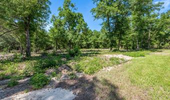 10931 98th Ln, Archer, FL 32618