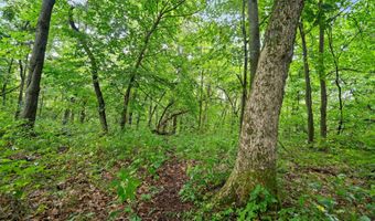 Lt3 County Road N, Arkansaw, WI 54721
