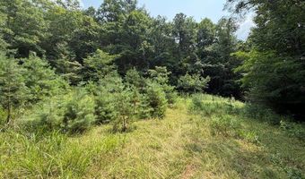 Hall Hollow Road, Austinville, VA 24312