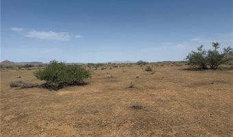 W Aduwa Drive, Chloride, AZ 86431