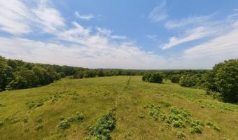 N County Road 113, Alton, MO 65606