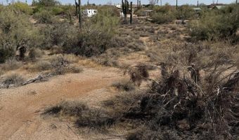 5305 E SEVEN PALMS Dr, Cave Creek, AZ 85331