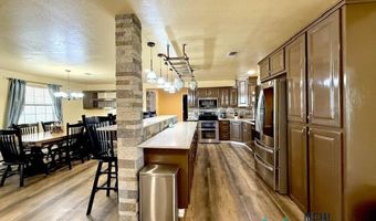 1007 Carnation Aly, Carlsbad, NM 88220