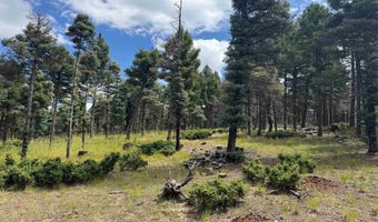 Lot 310 S Vail Overlook, Angel Fire, NM 87710