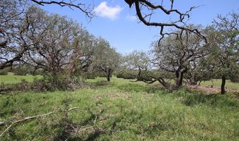 Tbd FM 221 - Tract 3, Pottsville, TX 76565