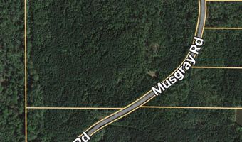 2400 Musgray Rd, Waterford, MS 38685