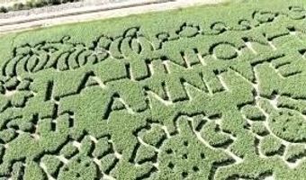 7036 Mcnutt Rd, Anthony, NM 88021