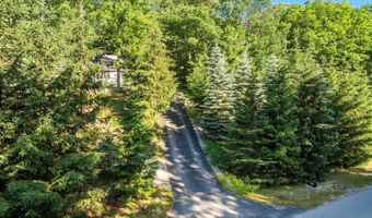 4473 Paper Birch Ln, Acme, MI 49686