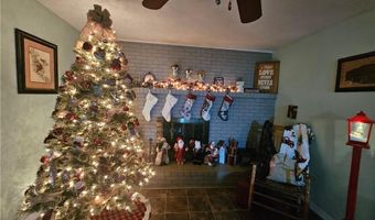 406 NE 6th, Atkins, AR 72823