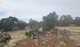 Tbd CR 8065, Concho, AZ 85924