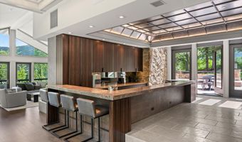 730 S Galena St, Aspen, CO 81611