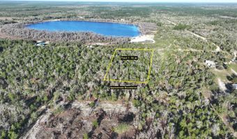 XX Lake Mckenzie Blvd, Altha, FL 32421