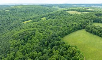 000 Bear Ridge Rd, Albright, WV 26519