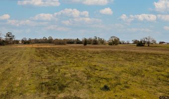 TBD County Road 4903, Athens, TX 75751