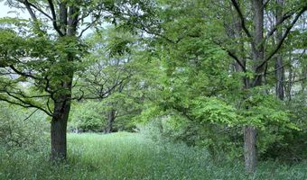 Parcel A Cemetery Road, Alden, MI 49612