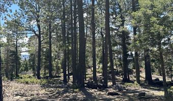 Lots 16 Lot17 Palo Flechado Ridge Road, Angel Fire, NM 87710