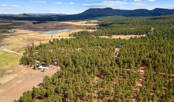 Tbd CR2325, Alpine, AZ 85920