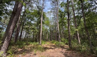 Fox Paw Court, Branchville, SC 29432