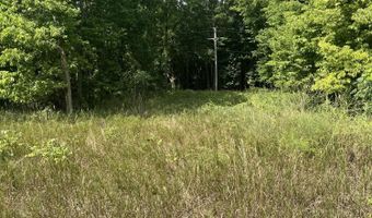 V/L 108th Avenue, Allegan, MI 49010