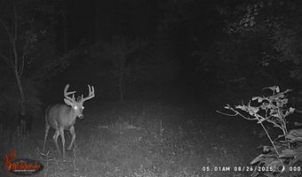 8752 HWY A, Almond, WI 54909