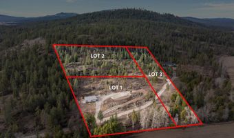 NKA Healing Dr. Lot 2 and Lot 3, Blanchard, ID 83804