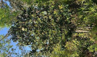 135 Water Oaks Way, Apalachicola, FL 32320