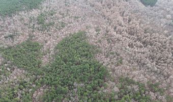 Cr 127, Abbeville, MS 38601