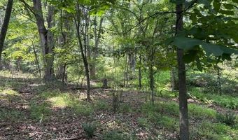 FOX RUN lot 24A 3.22 Ac, Baker, WV 26801