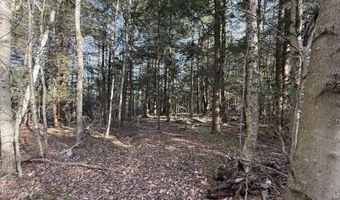 Stony Brook lot 26, Becket, MA 01223
