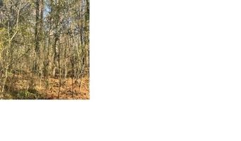 AEPEAN WAY lot 13, Alpine, AL 35014