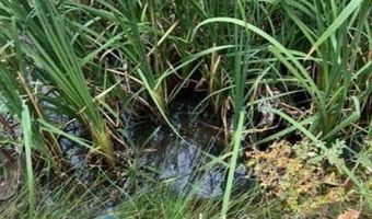 1724 Warner Mountain Rd PO Box, Alturas, CA 96101