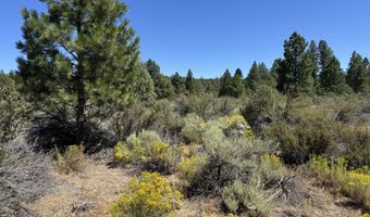 Bufflehead Drive 18, Bonanza, OR 97623
