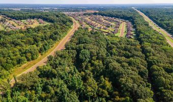 MILTON WILSON Blvd, Arlington, TN 38002