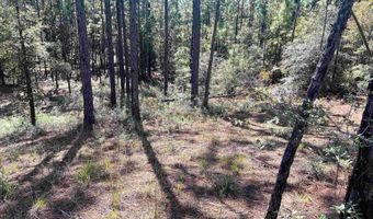 0 State Highway 225, Bay Minette, AL 36507