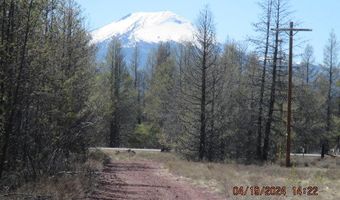 Lots 3 & 4 Munson Drive, Chiloquin, OR 97624