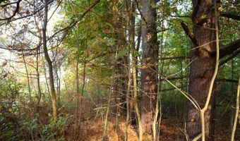 0 Midline Rd, Amsterdam, NY 12010