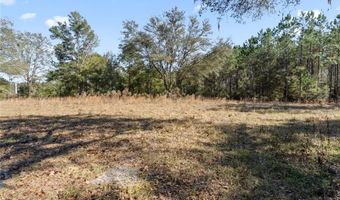 14109 SW 134TH Ter, Archer, FL 32618